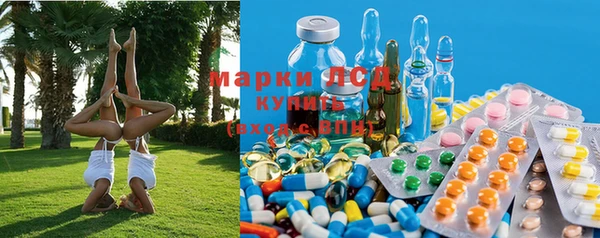 ГАЛЛЮЦИНОГЕННЫЕ ГРИБЫ Приозерск