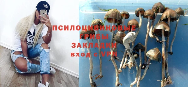 мяу мяу мука Покров