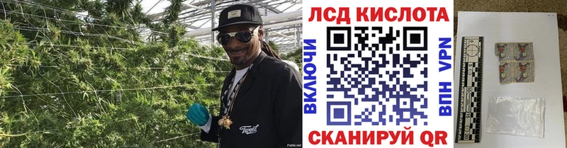 мега маркетплейс  Талдом  дарк нет официальный сайт  Марки 25I-NBOMe 1,5мг 