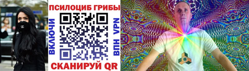 Галлюциногенные грибы Psilocybine cubensis  магазин    Талдом 