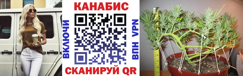 Конопля Bruce Banner Талдом